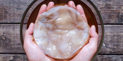 Kako skuhati kombuchu za 3 litre: recepti za pripremu otopine, proporcije